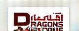 Dubai Dragons Cricket Academy Logo